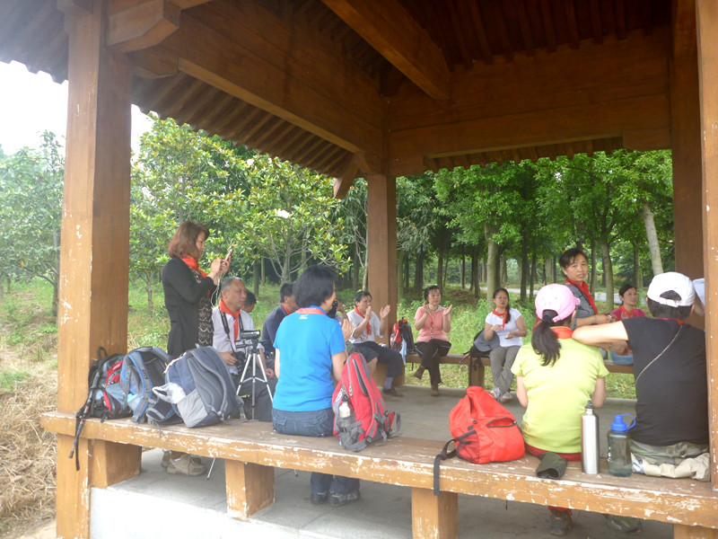 p1150273_.jpg