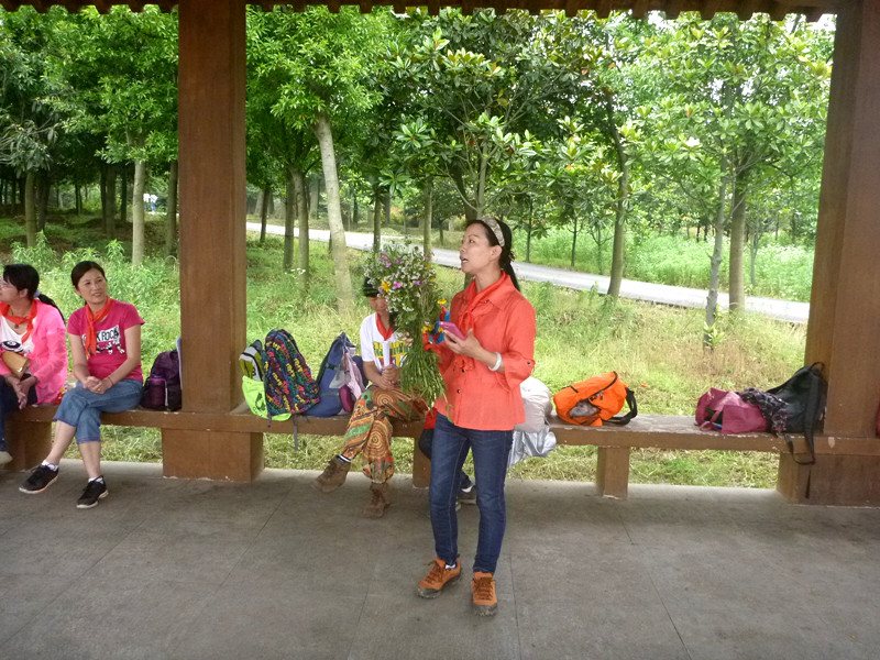 p1150290_.jpg