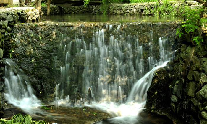 _dsc0163.jpg