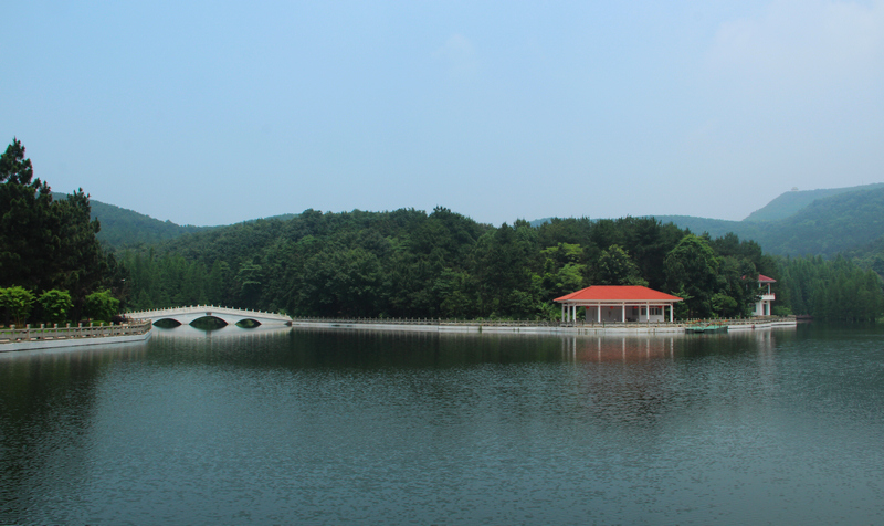 img_7756a.jpg