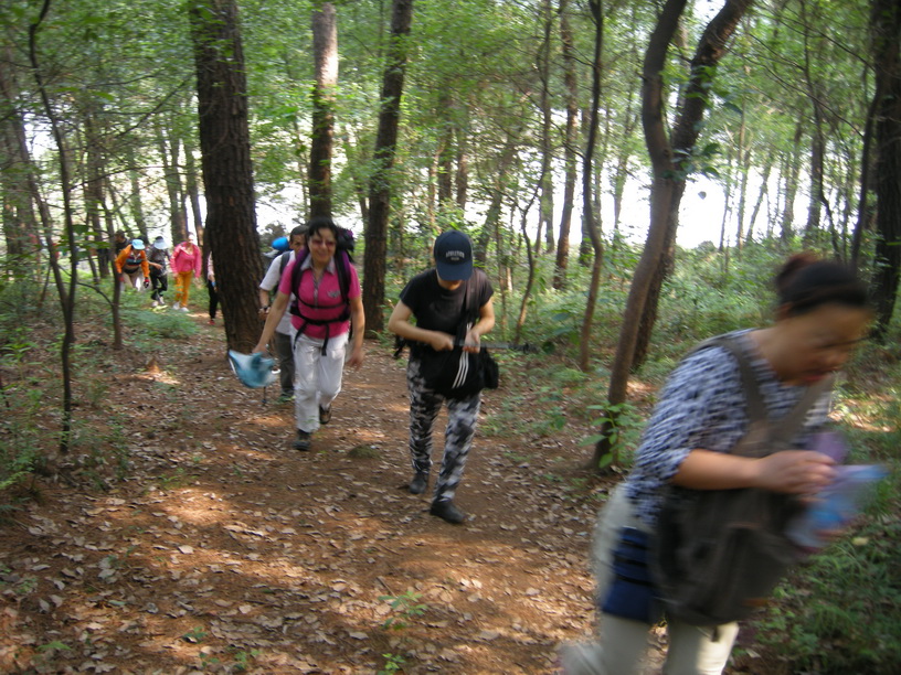 dscn8883.jpg
