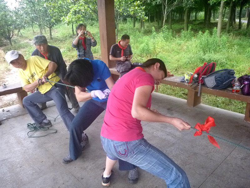 p1150308_.jpg