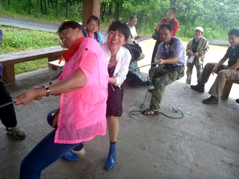 p1150311_.jpg