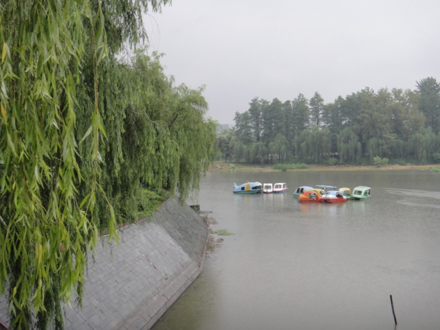 dsc00302.jpg