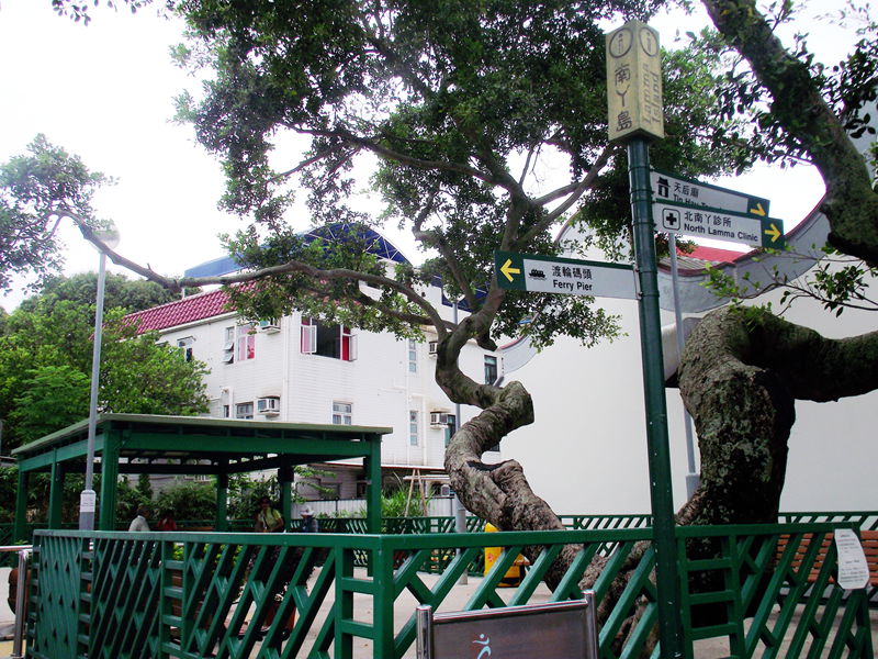 dscf5025.jpg
