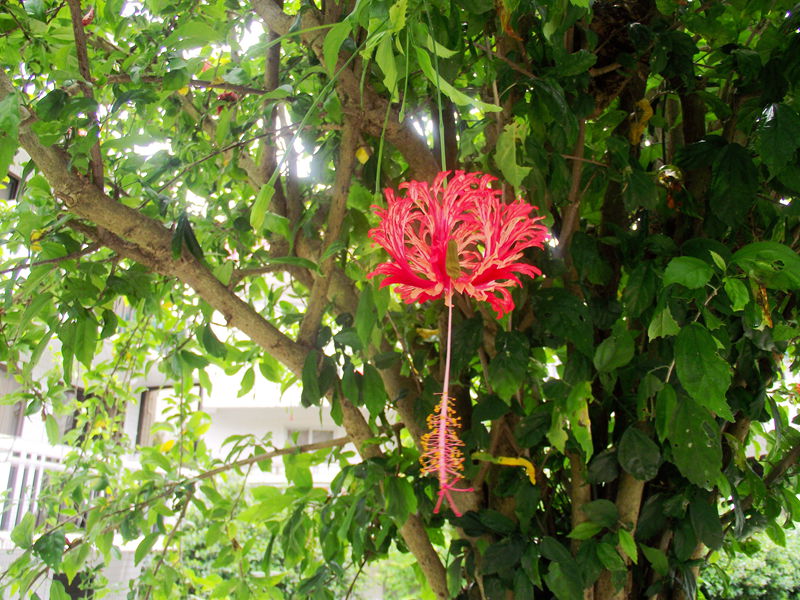 dscf5035.jpg