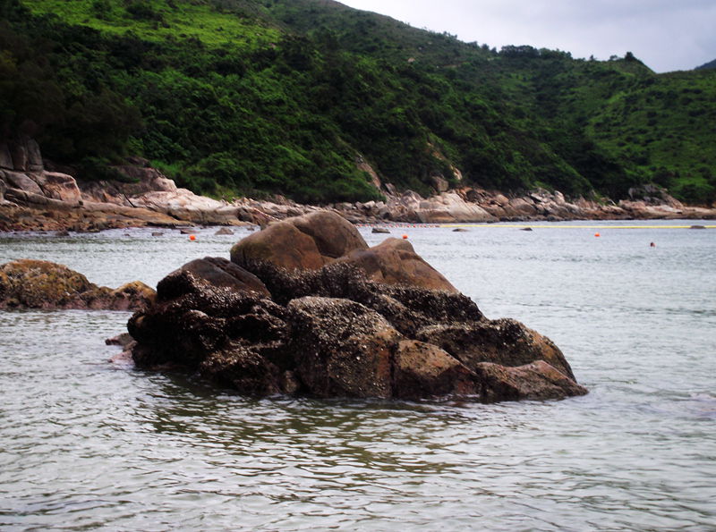 dscf5055.jpg
