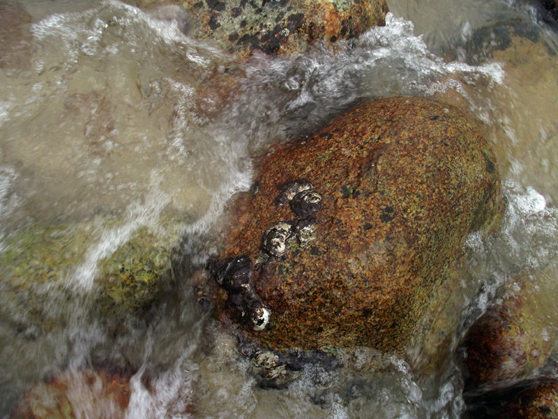 dscf5056.jpg