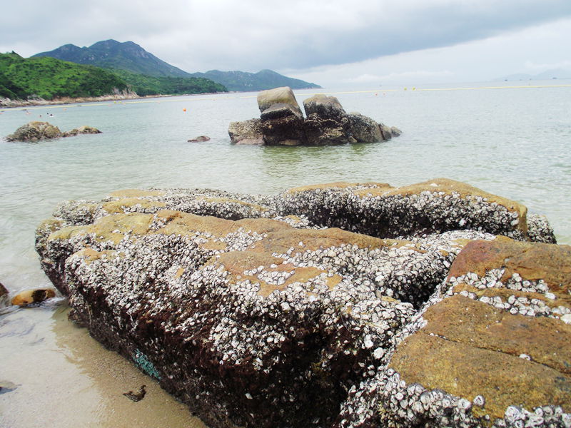dscf5062.jpg