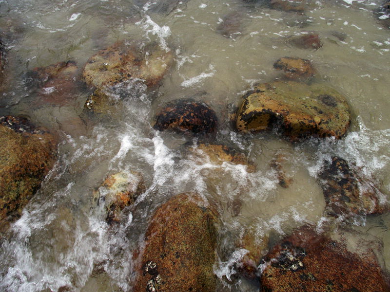 dscf5057.jpg