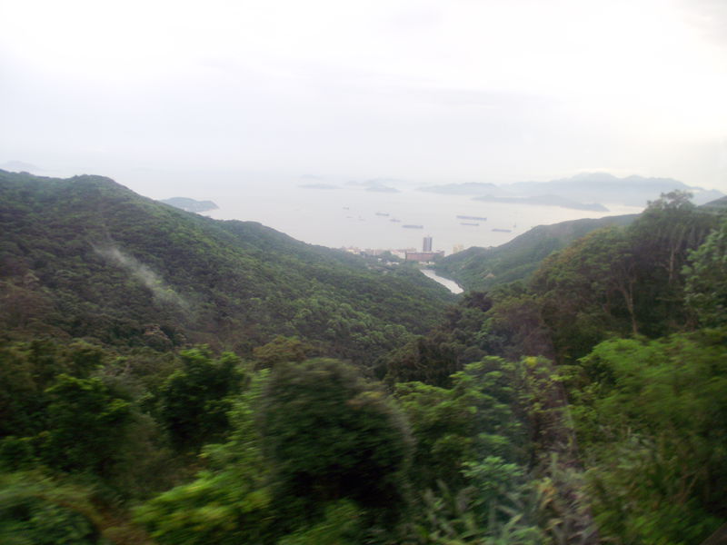 dscf5085.jpg
