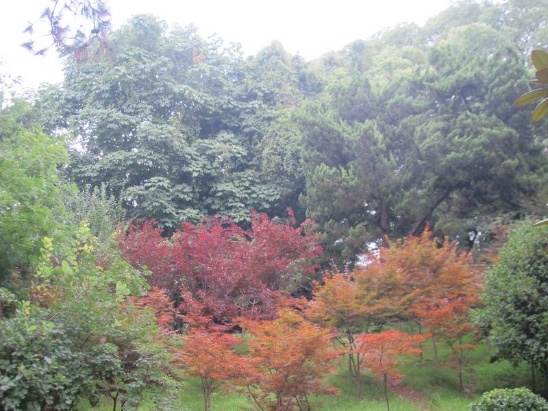 ˵ 042.jpg