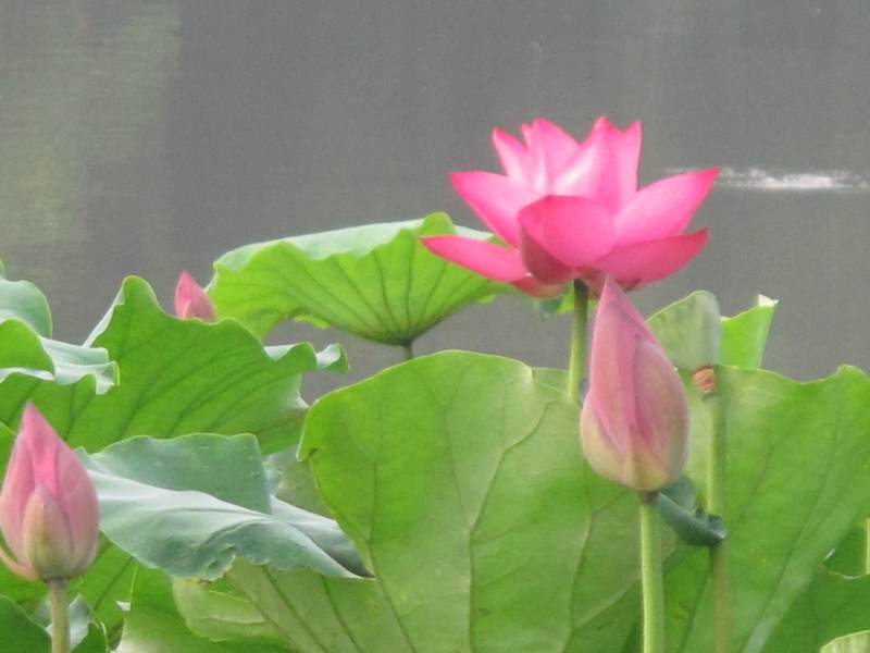 ˵ 047.jpg
