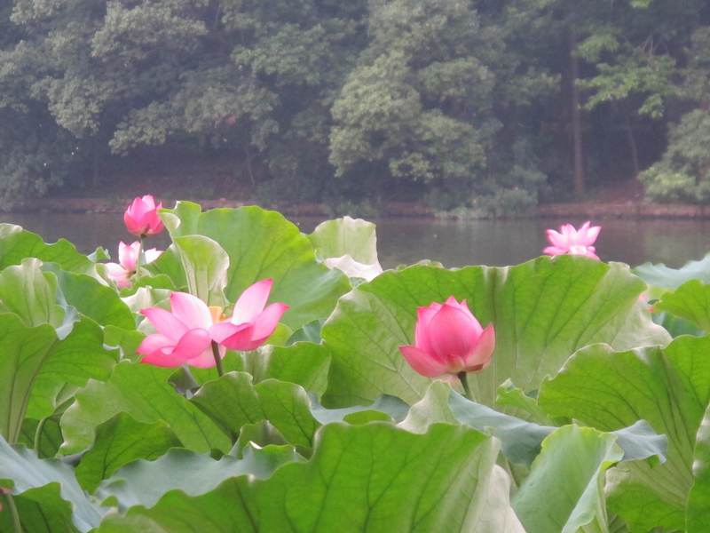 ˵ 005.jpg