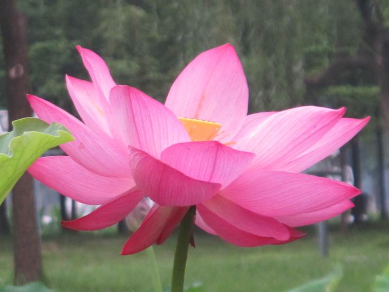 ˵ 031.jpg