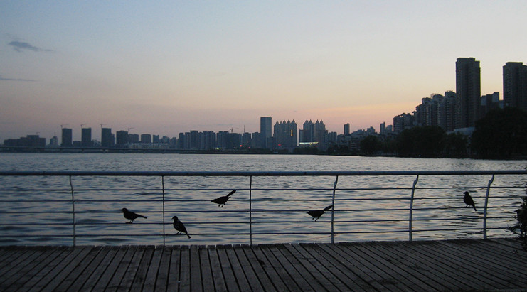 img_2906_2.jpg