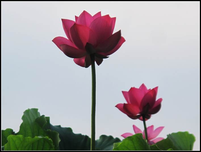˵ 075.jpg
