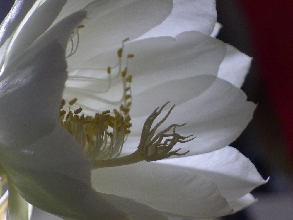 p1070858_.jpg