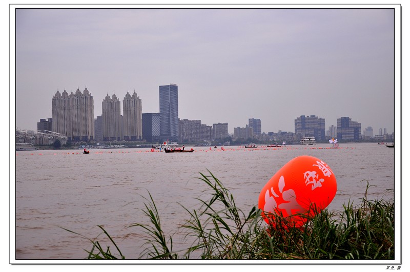 dsc_0442_Ŀѹ.jpg