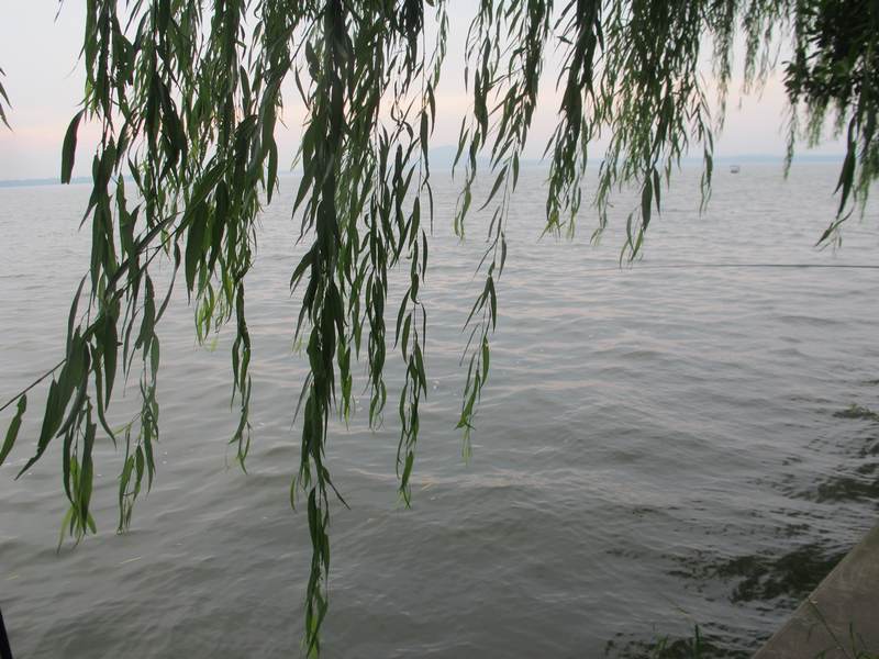˵ 015.jpg