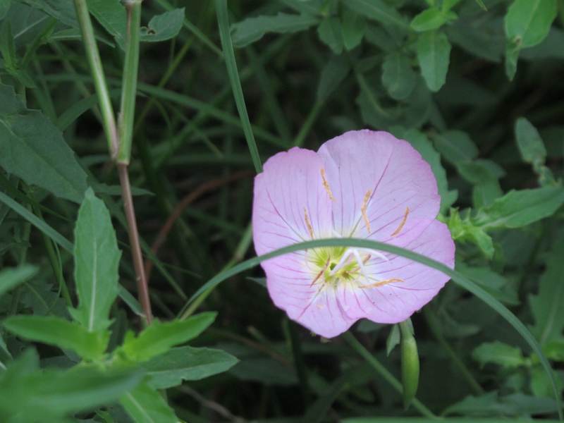˵ 016.jpg