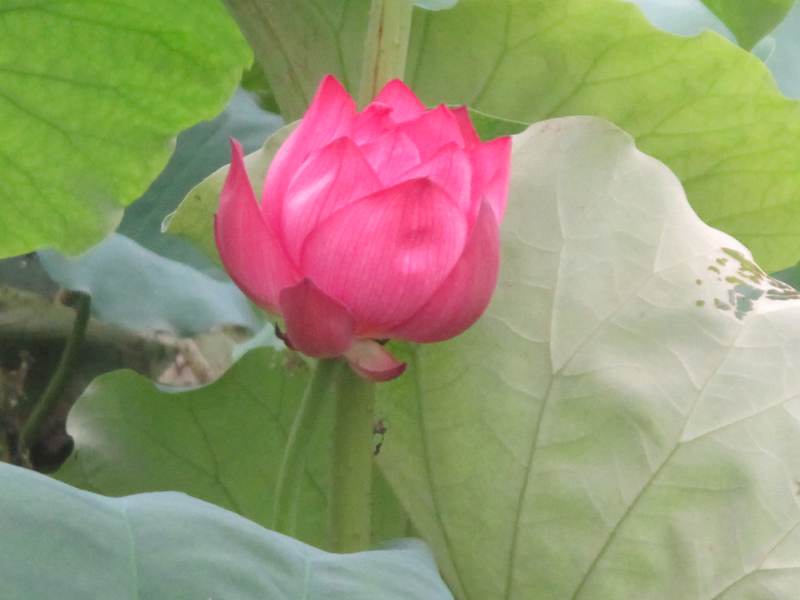 ˵ 029.jpg