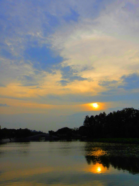 dsc00741_.jpg