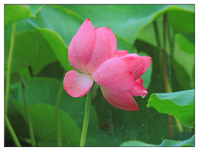 dscn0649_.jpg