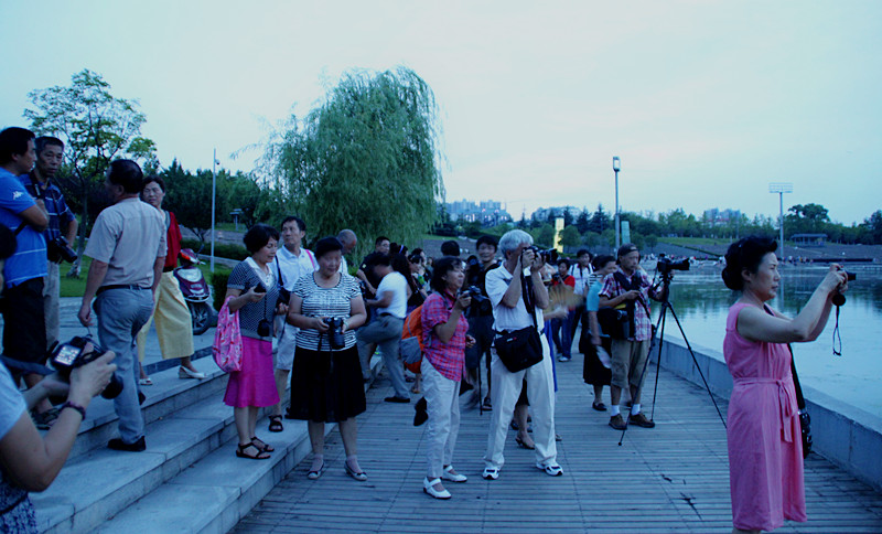 img_0178_.jpg