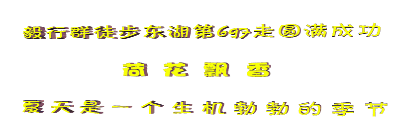 697.gif