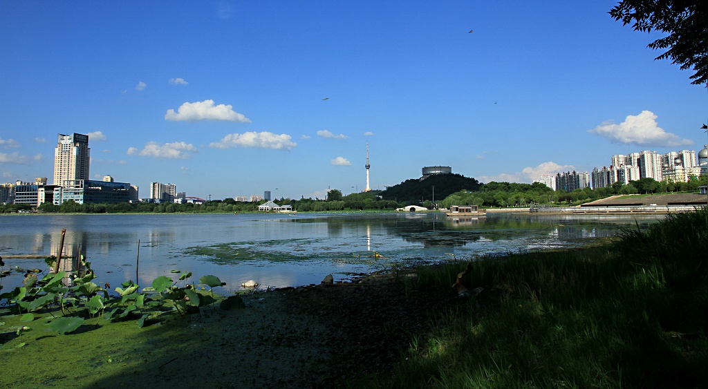 img_3577.jpg