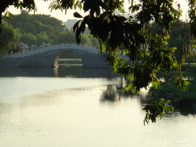 dsc00786.jpg