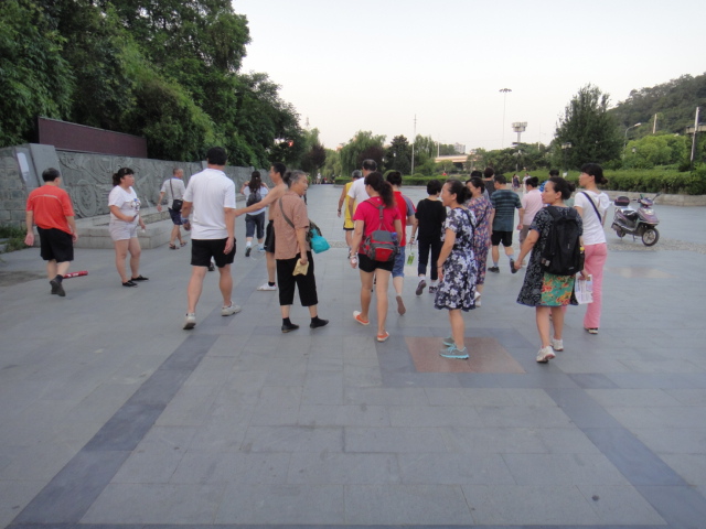 dsc00826.jpg