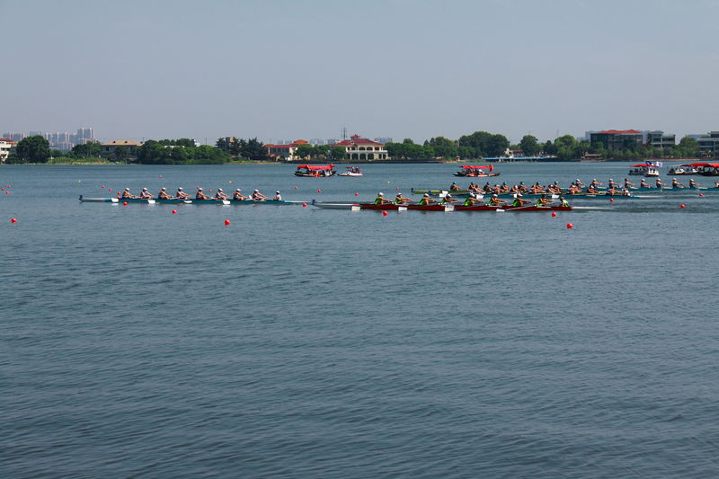 img_4230.jpg
