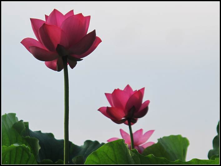 ˵ 074.jpg