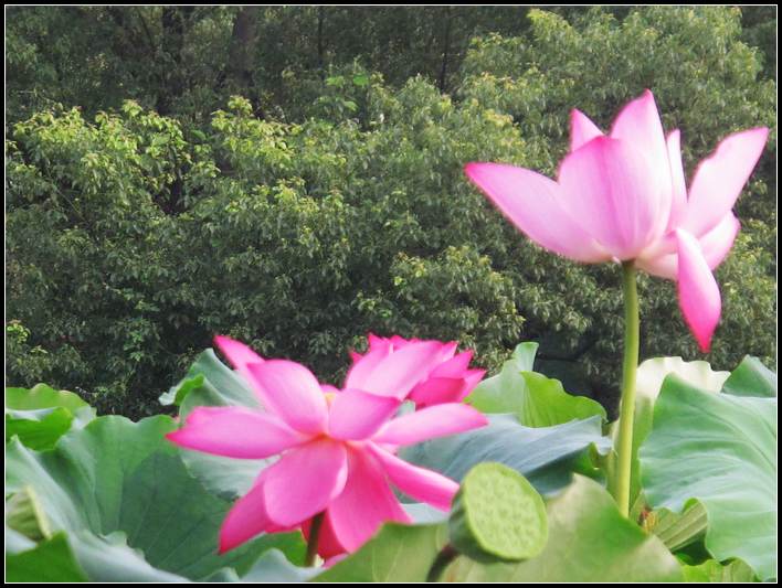 ˵ 060.jpg