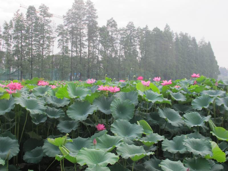 ˵ 057.jpg