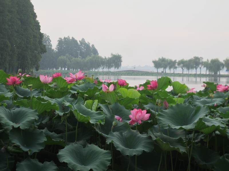 ˵ 055.jpg