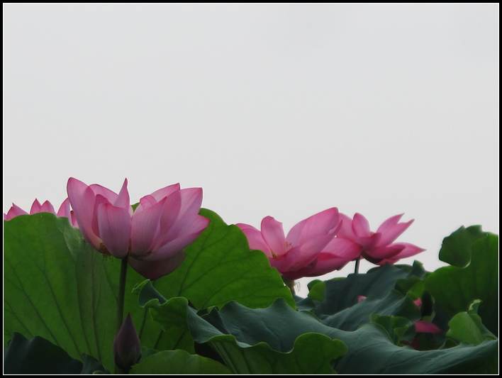 ˵ 059.jpg