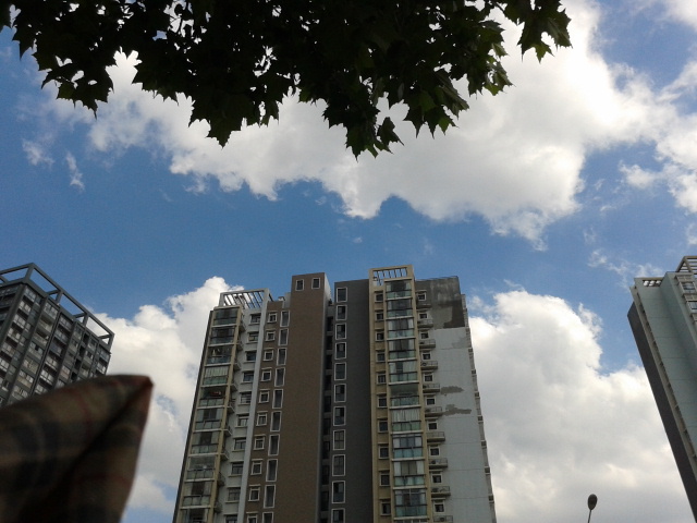 20130703_160120.jpg