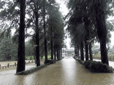 20137716435888778.gif