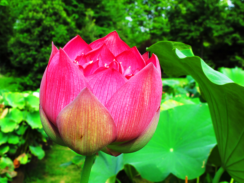 Ƭ 025.jpg