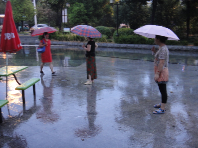 dsc01216.jpg