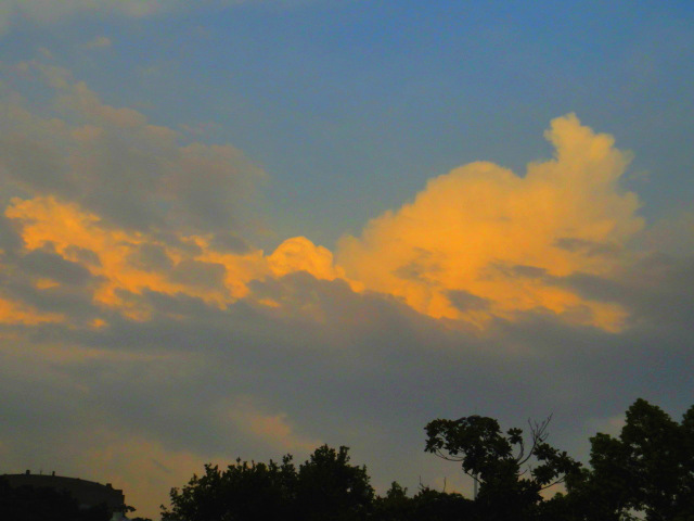 dsc00937_.jpg