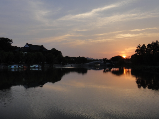 dsc01231.jpg