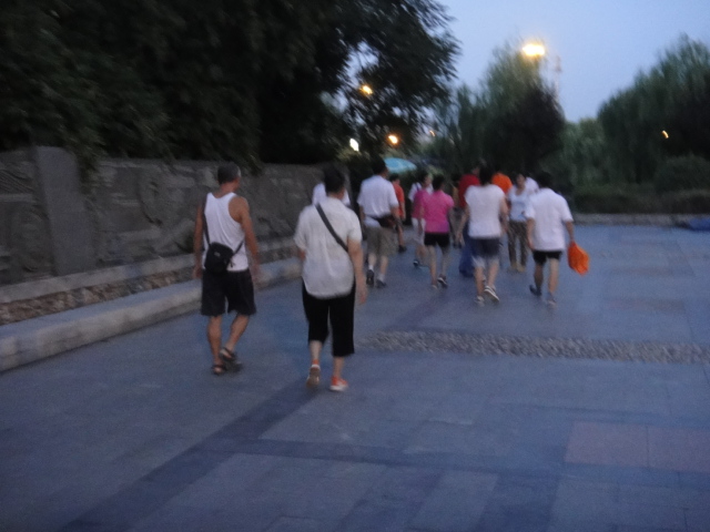 dsc01256.jpg