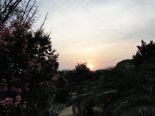 dsc08234.jpg