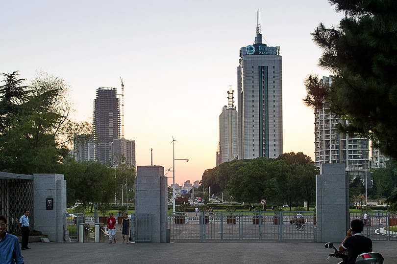 p8063513.jpg