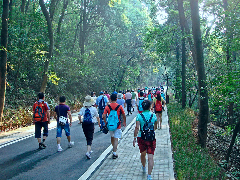 dsc02669 02.jpg