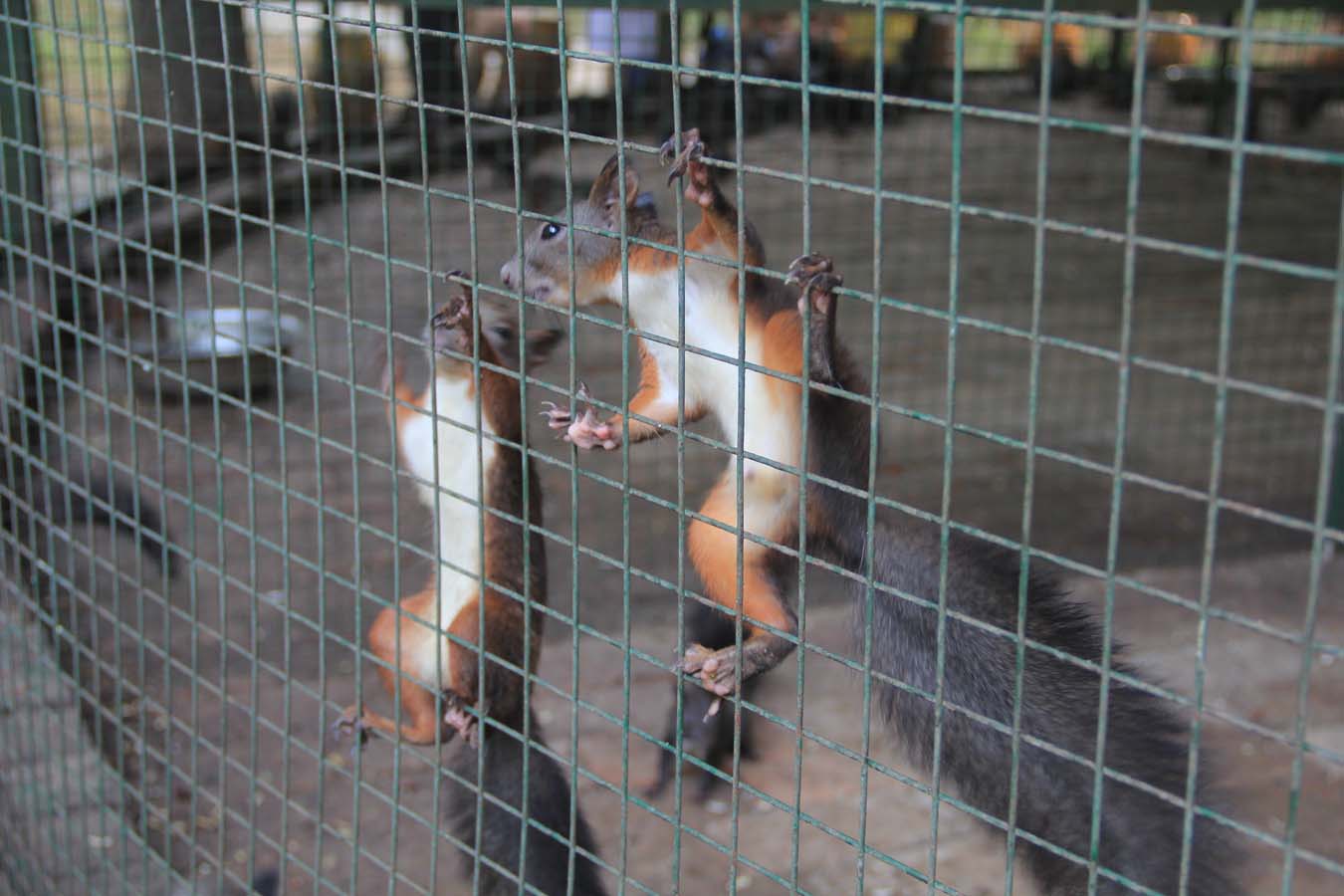 img_1338.jpg